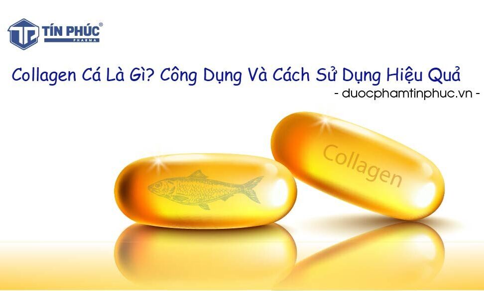 Collagen cá là gì? Công dụng và cách sử dụng hiệu quả, collagen da cá, collagen nước, collagen viên, collagen bột, làm trắng, dược phẩm tín phúc, tín phúc pharma