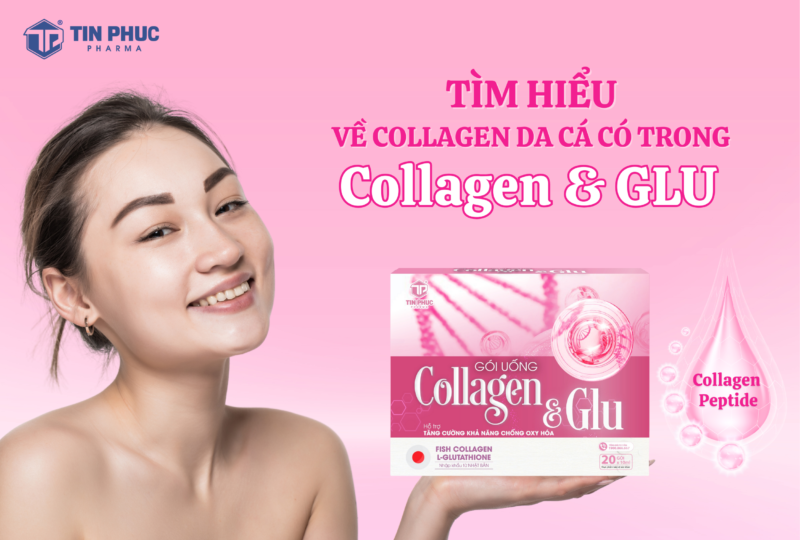 Tìm Hiểu Về Collagen Da Cá Có Trong Collagen Glu